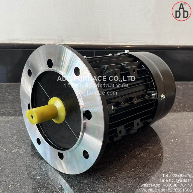 TYPE YE3-80M2-2 B5 (5)